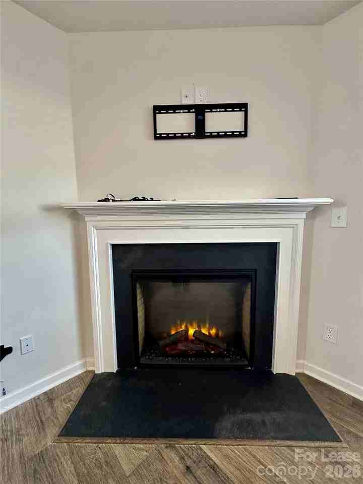 1603 Blue Velvet Ln - Photo 7 of 37