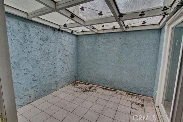 8 Sparrowhawk - Photo 3 of 8