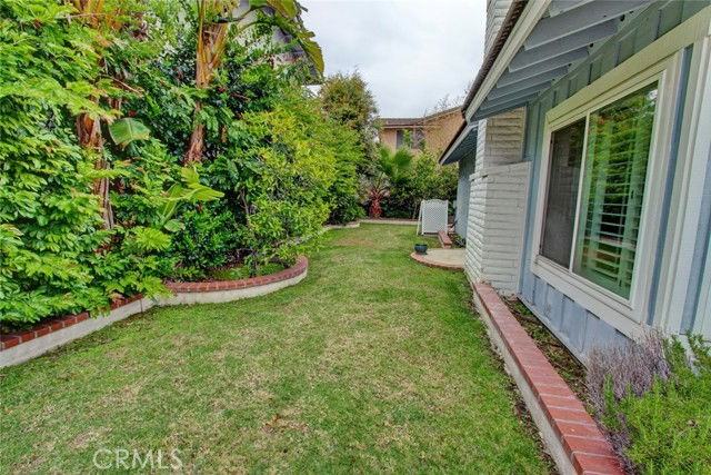 8 Sparrowhawk - Photo 4 of 8