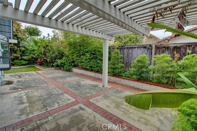 8 Sparrowhawk - Photo 6 of 8