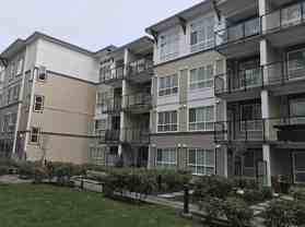 6438 195A Street #113 - Photo 1 of 1