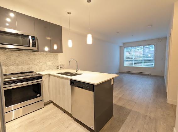 6438 195A Street #113 - Photo 4 of 11