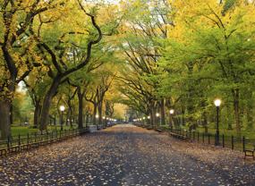 752 W End Ave #15D - Photo 1 of 1