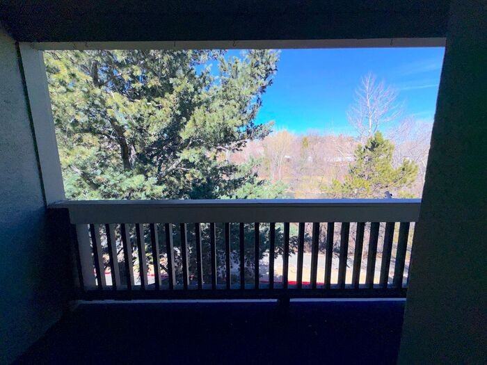 2855 Idlewild Dr - Photo 7 of 34