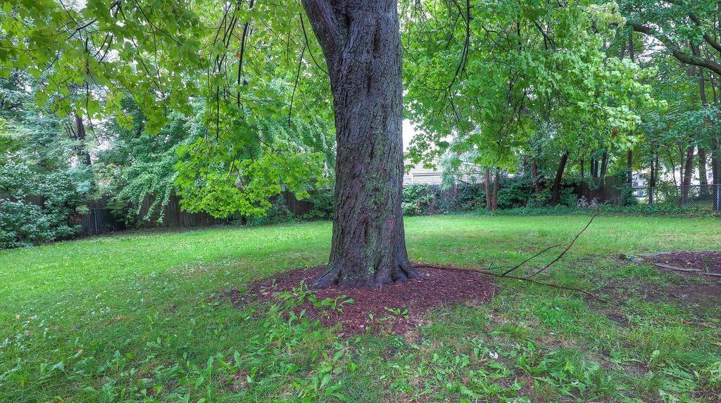 35348 Sheffield St - Photo 3 of 14