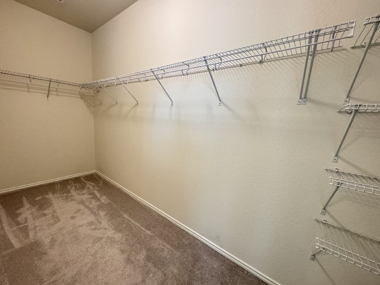 436 Holly Bush - Photo 6 of 14