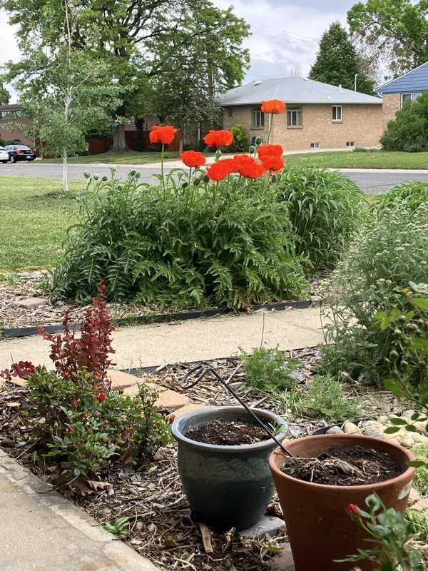 5735 Everett St - Photo 4 of 7