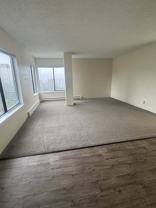 4131 11th Ave Ne #405 - Photo 1 of 1