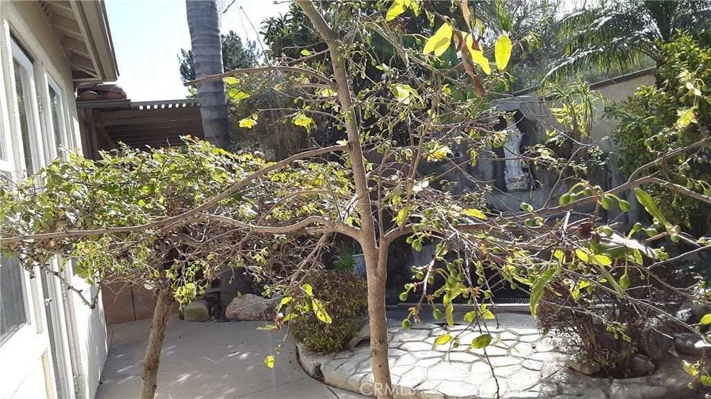 4443 Cherry Grv - Photo 6 of 41