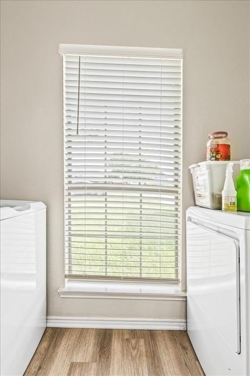 115 Collett Ct - Photo 5 of 11