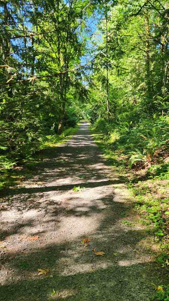 Nw Wilshire Ln - Photo 7 of 23