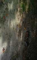 17 Dune Rd - Photo 1 of 1