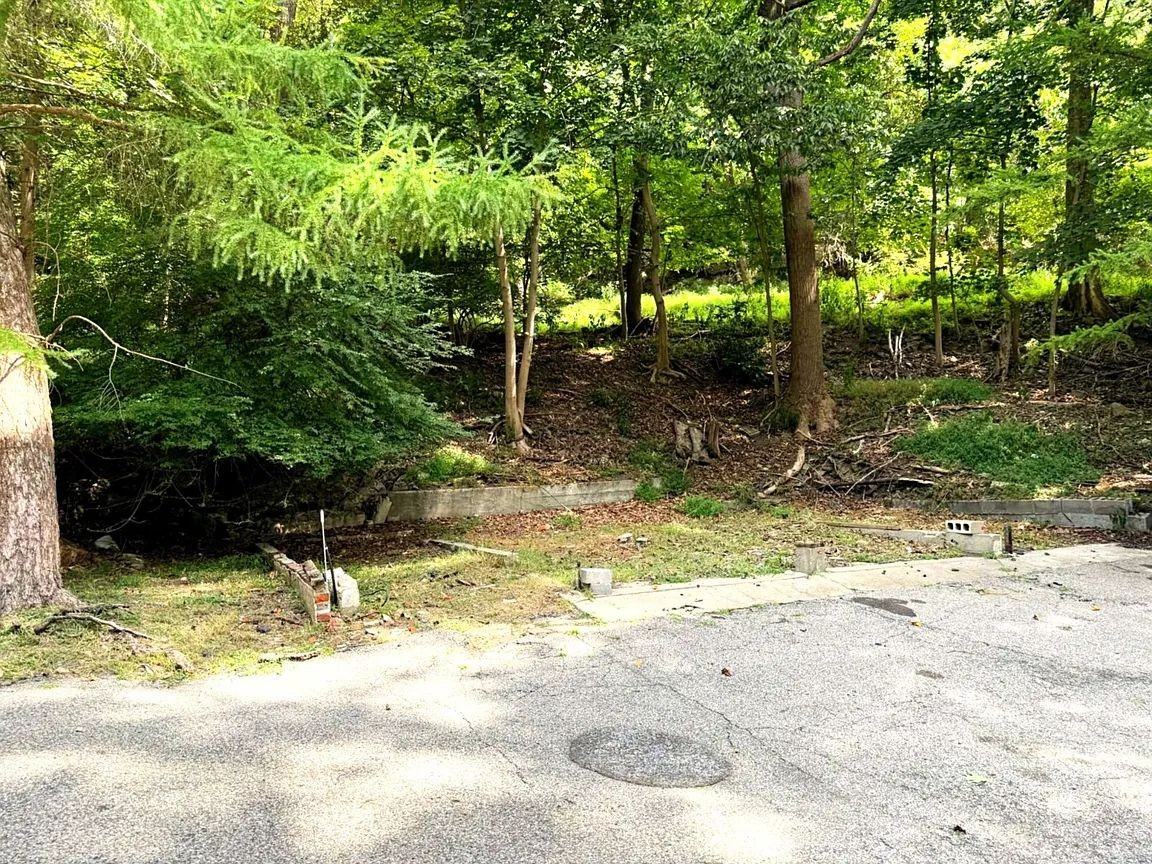 531 Sycamore Rd - Photo 5 of 18