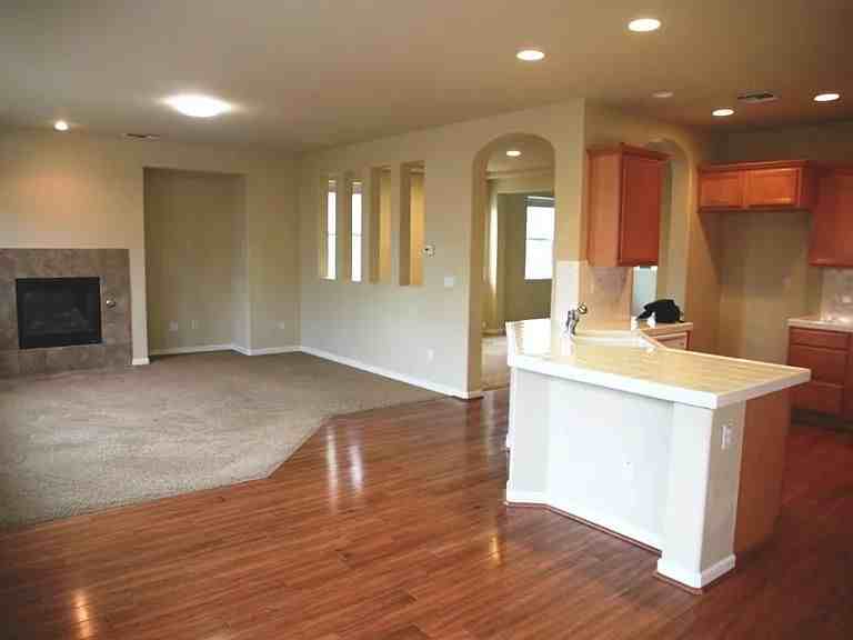 1461 Cliff Swallow Dr - Photo 4 of 16