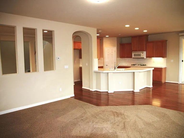 1461 Cliff Swallow Dr - Photo 5 of 16