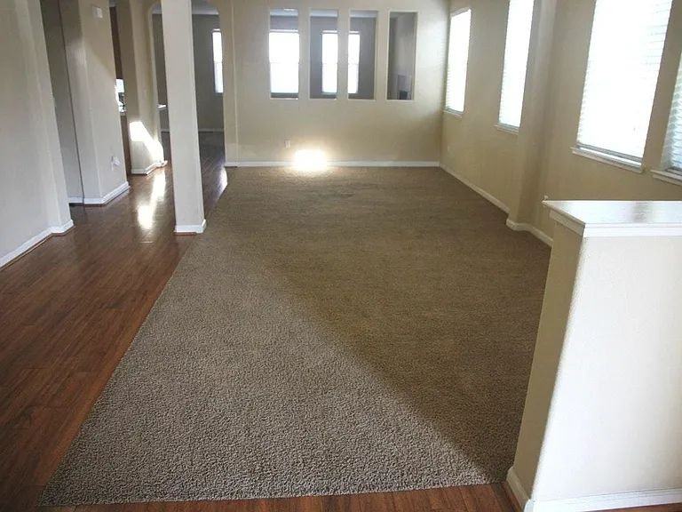 1461 Cliff Swallow Dr - Photo 6 of 16