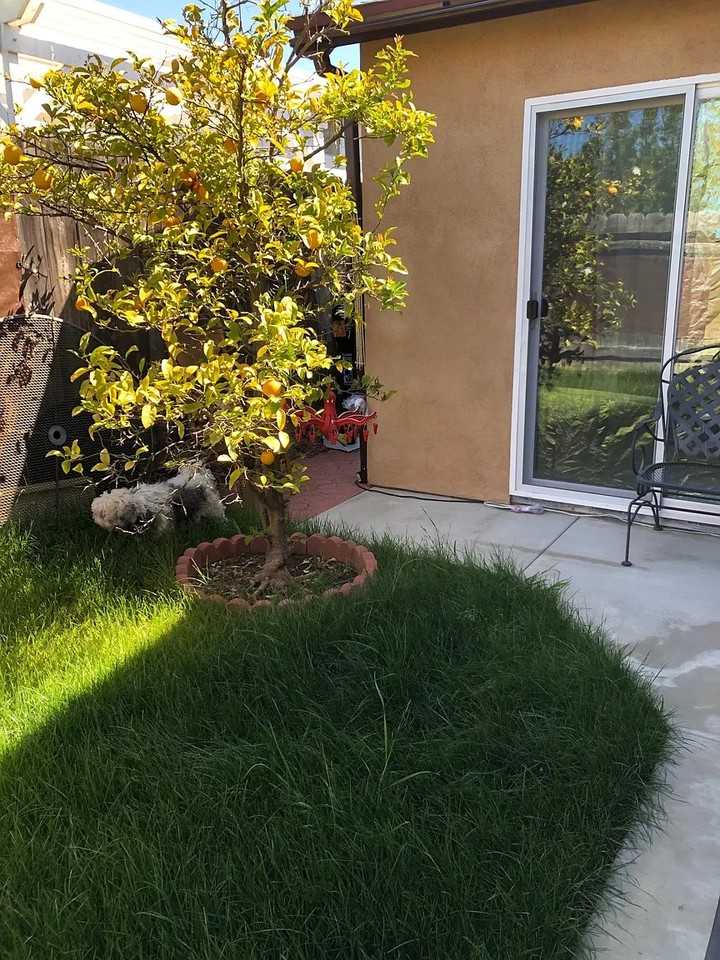 8782 Capricorn Way - Photo 7 of 10