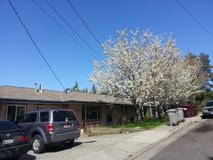 1300 Ne Williams St #4 - Photo 1 of 1