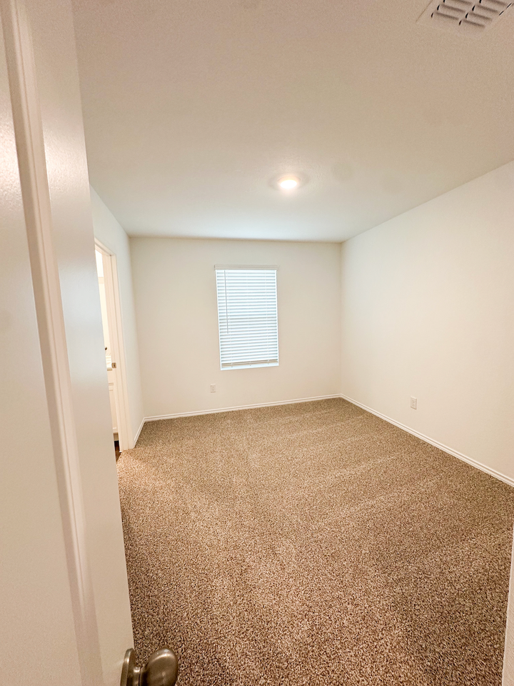 14710 Candelabra Cactus - Photo 5 of 12