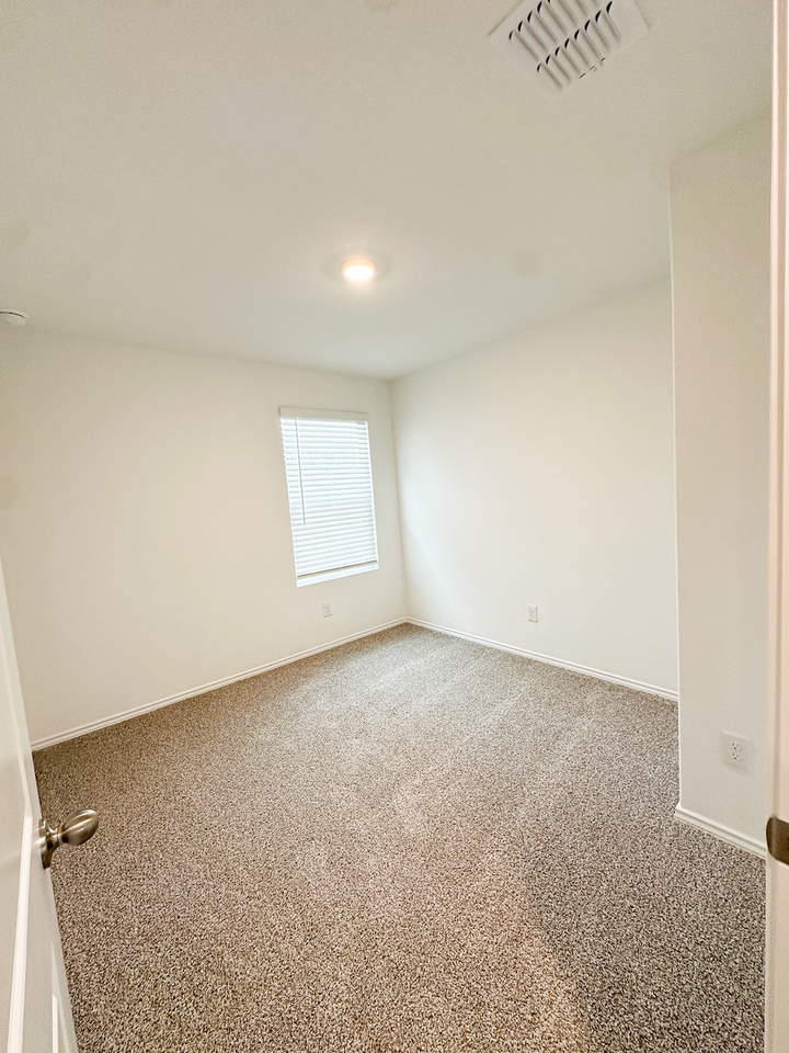 14710 Candelabra Cactus - Photo 6 of 12