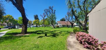 featured image of 5428 E Snow Wood Cir