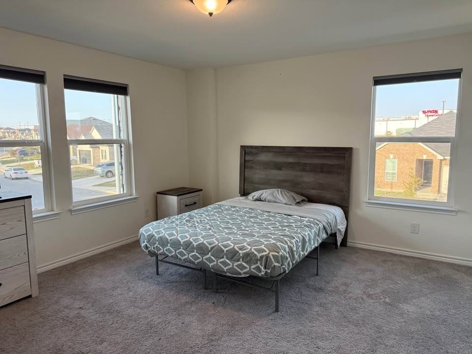 13930 Wool Park - Photo 5 of 11