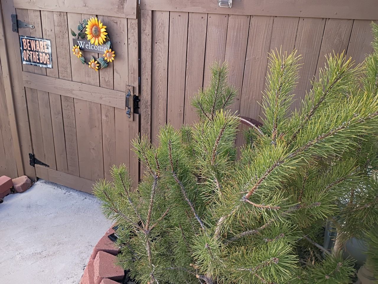 5070 Fenwood Dr #NA - Photo 4 of 14