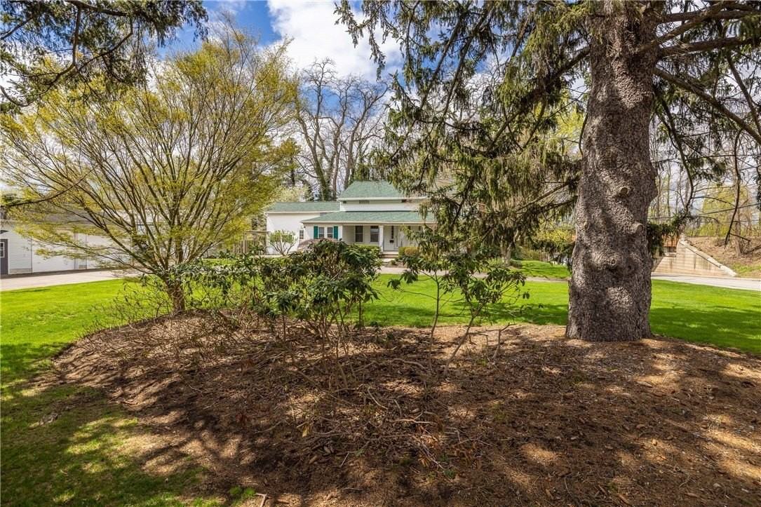 1253 Fairport Rd - Photo 6 of 47