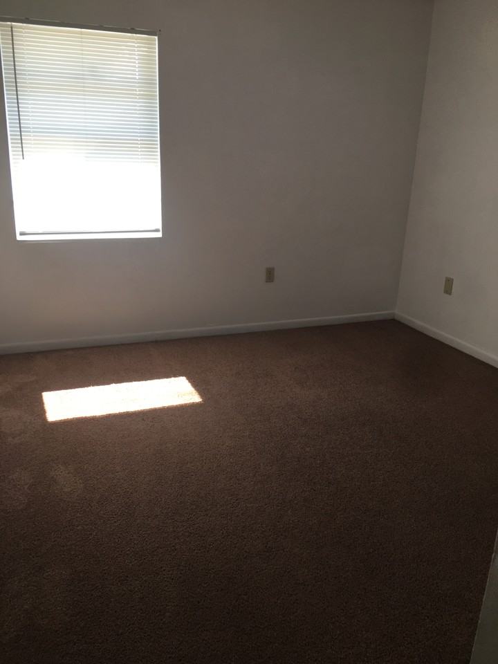 909 Shirley Ann Trail - Photo 5 of 8