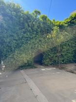 1236 23rd St ##B - Photo 1 of 1