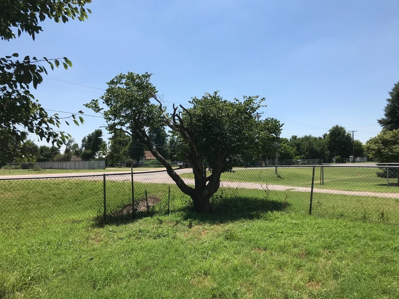 1506 W Mcartor Rd - Photo 5 of 8