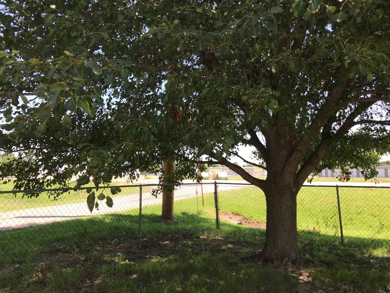 1506 W Mcartor Rd - Photo 6 of 8