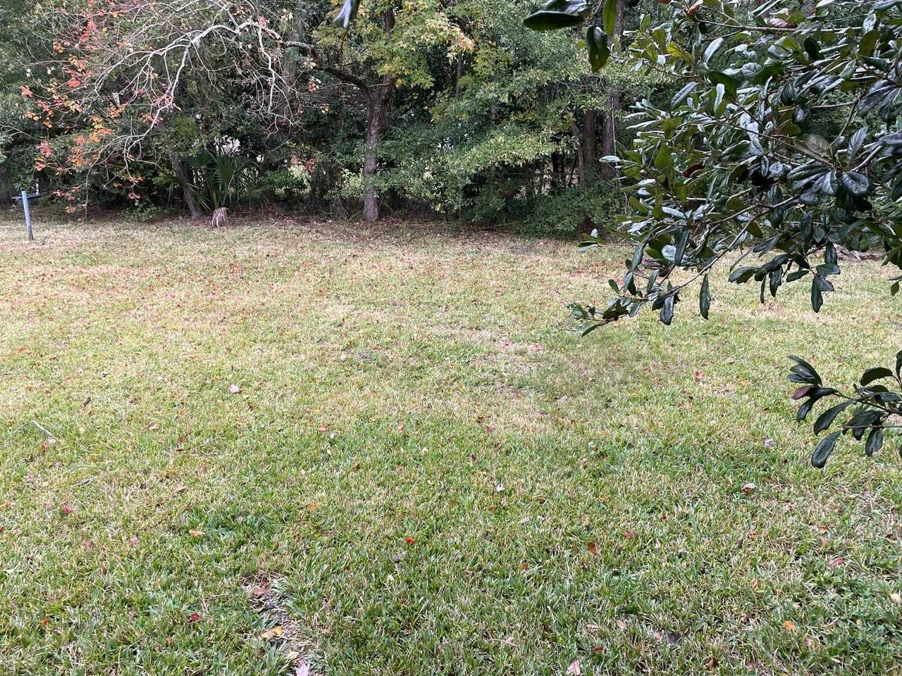 5205 Hollycrest Dr - Photo 3 of 28