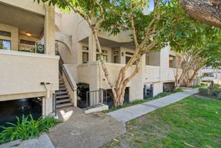 17202 Corbina Ln #108 - Photo 1 of 1