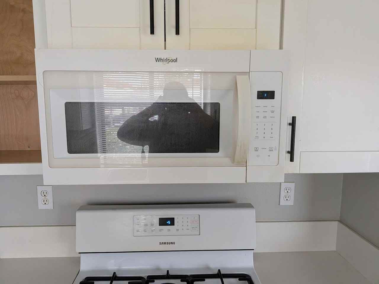 8444 New Salem St #13 - Photo 2 of 16