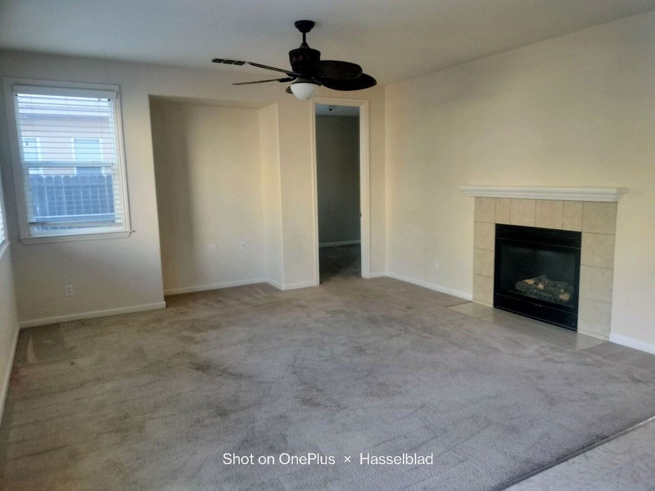 3009 Roslyn Dr - Photo 5 of 15