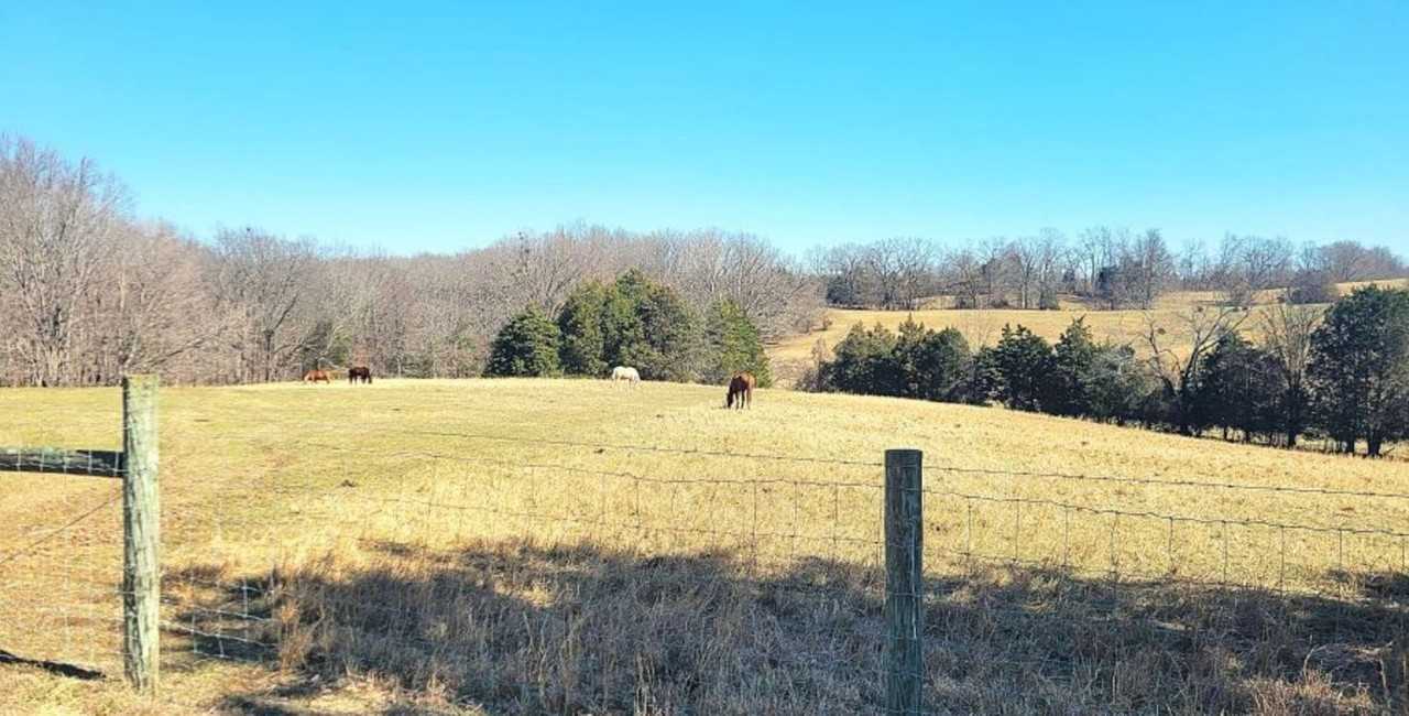 1444 Ben T Johns Rd - Photo 2 of 19