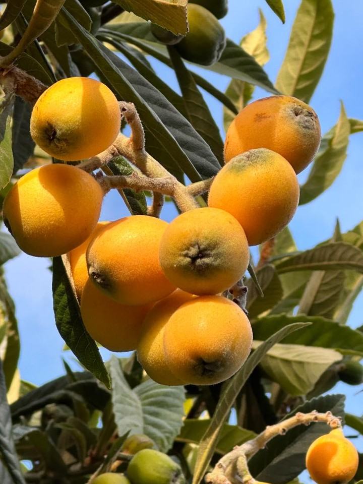 Garden Retreat - Photo 4 of 10