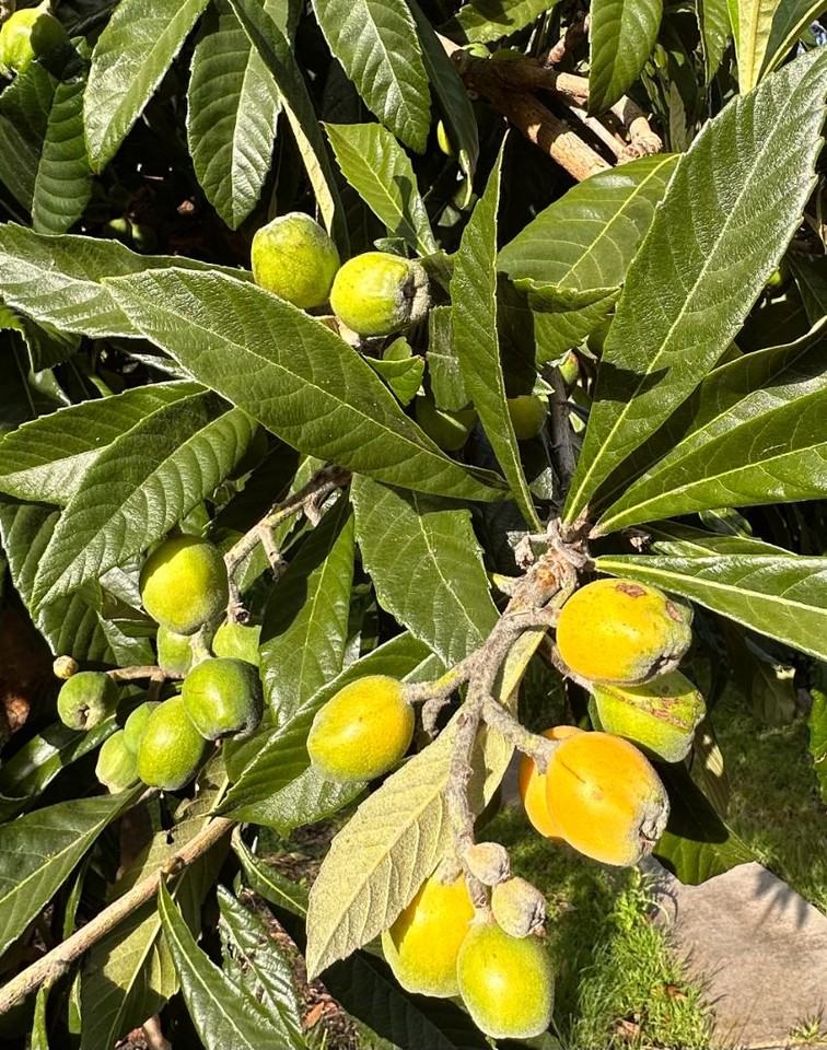 Garden Retreat - Photo 5 of 10