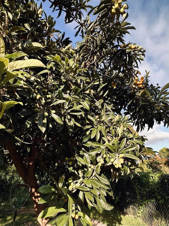 Garden Retreat - Photo 6 of 10