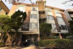 The Ming Tree- 264 Lee St. - Photo 1 of 1