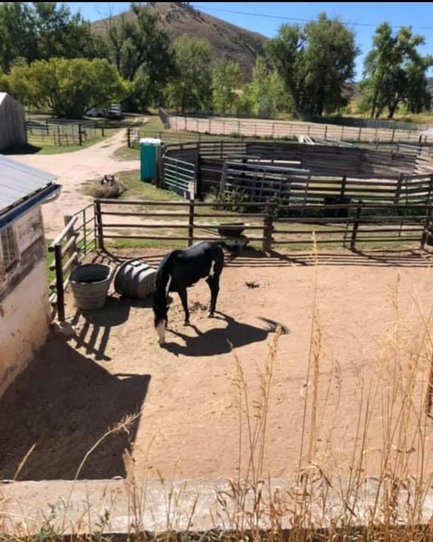 8400 W County Road 18 E - Photo 3 of 30