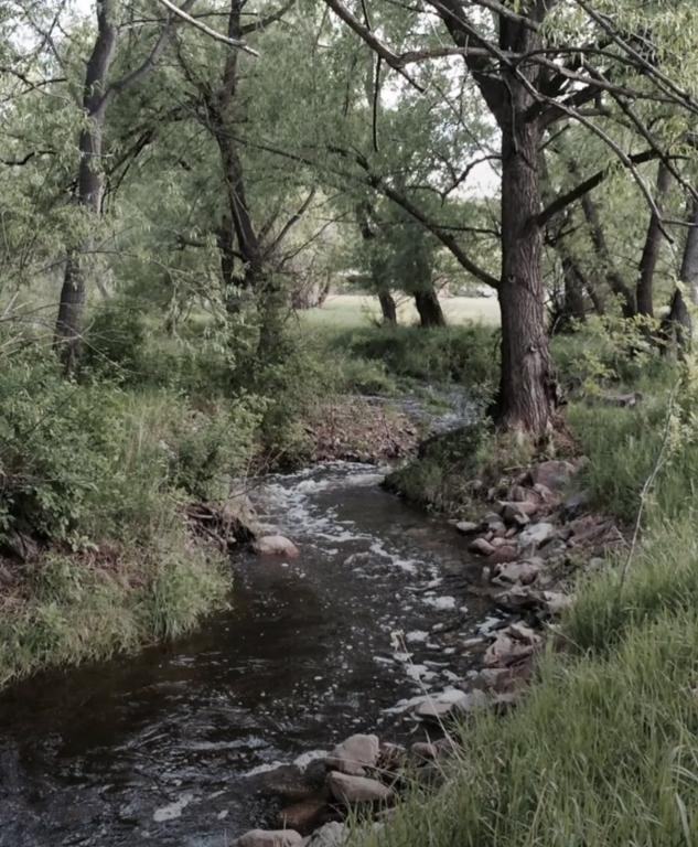 8400 W County Road 18 E - Photo 5 of 30