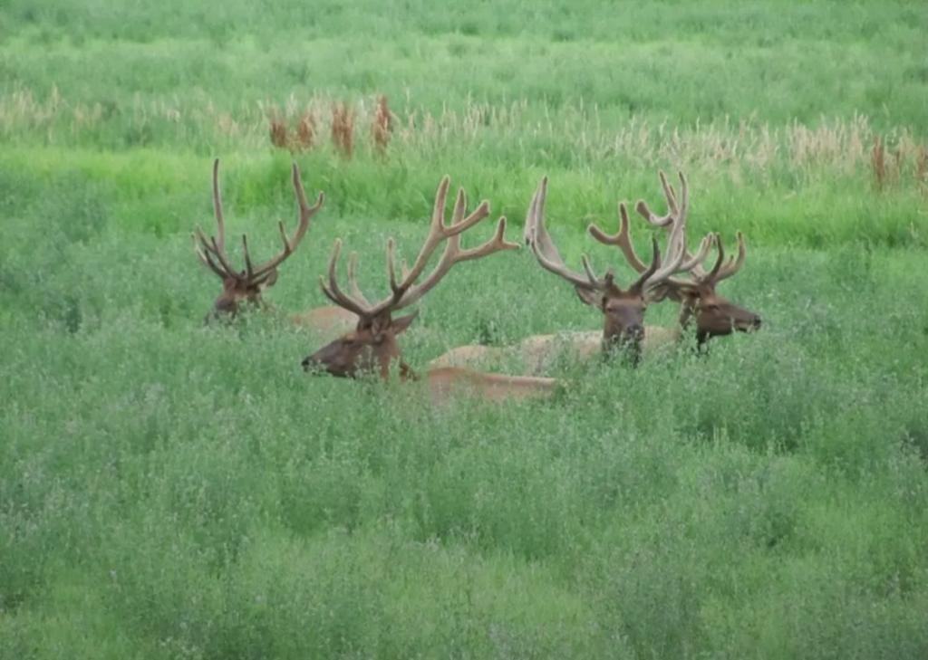 8400 W County Road 18 E - Photo 7 of 30