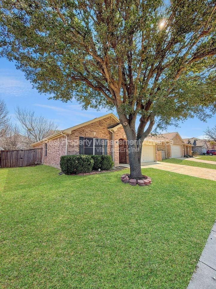 1054 Warbler - Photo 2 of 10