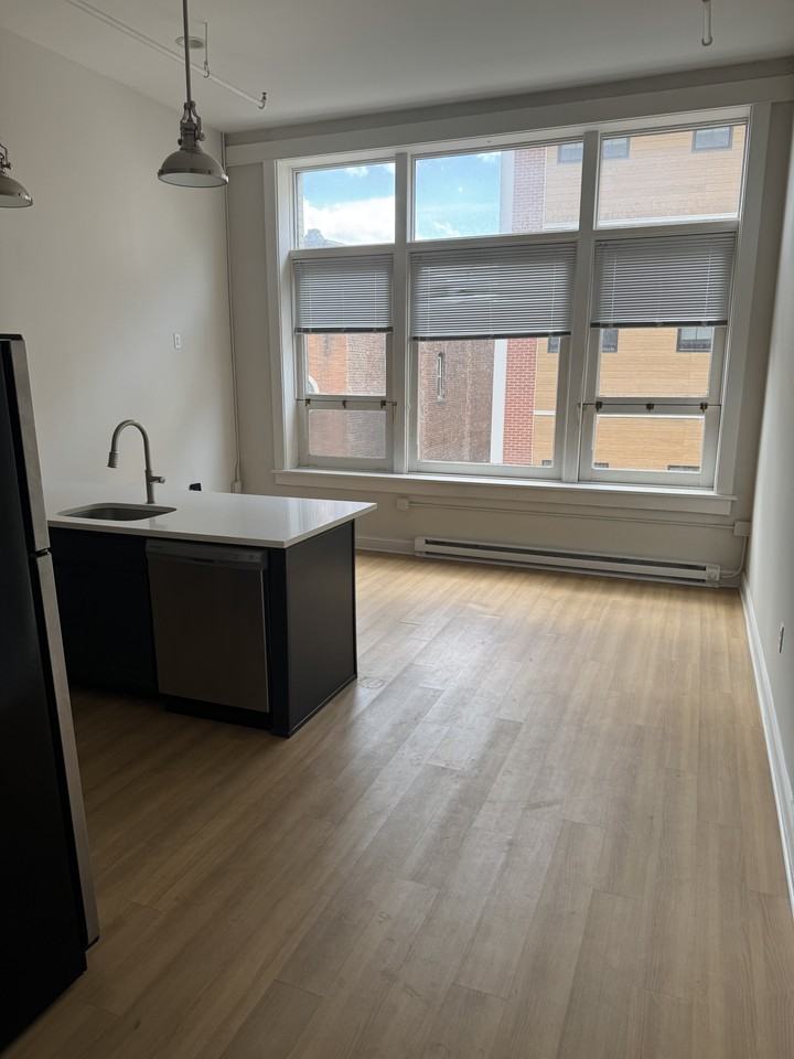 148 Clinton St #3A - Photo 5 of 10