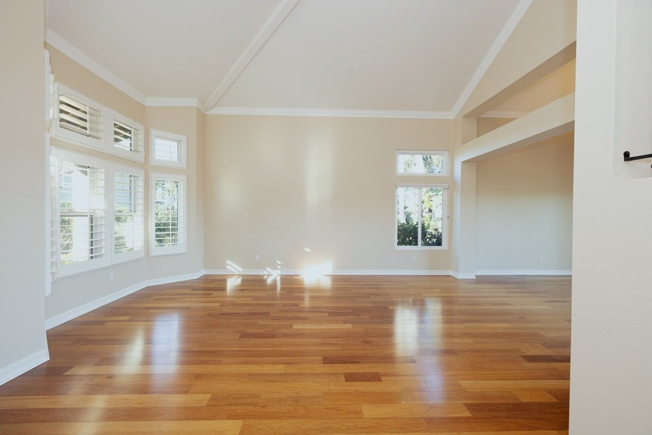 1808 Avenida Mimosa - Photo 3 of 23