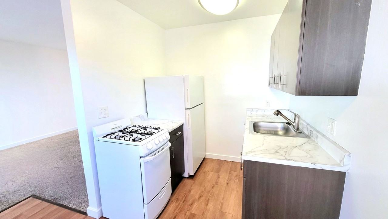 The Alterra: Beautiful One - Photo 4 of 36