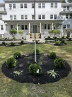 featured image of 164 Hudson St #2