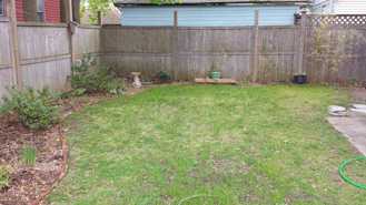 950 Elm St #3 - Photo 1 of 1